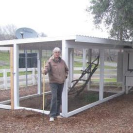 Introducing the Newest Member of Our Family Image